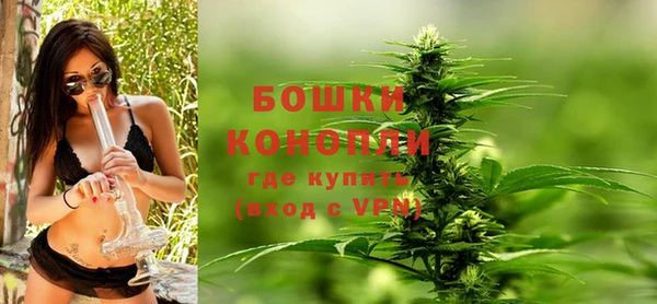 эйфоретик Бородино