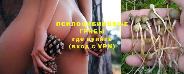 ALPHA PVP Бугульма