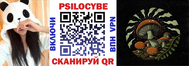 Купить Полярный Псилоцибиновые грибы ЛСД